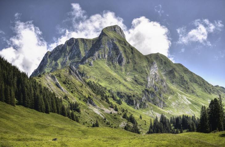 Ecoturismo 2024: i cinque trend preferiti dagli italiani
