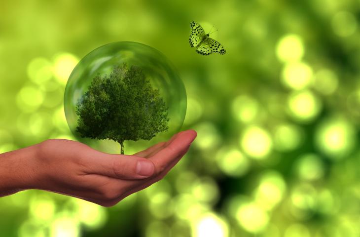 Patagonia e l’impegno per l’ambiente