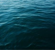 I benefici dell’acqua di mare raccontati da Michele Doz