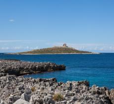 L’Isola delle Femmine è in vendita? Ecco l’idea di quattro artiste, che la vogliono acquistare - In a Bottle