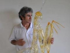 Danilo Marchi e il lato romantico del PET