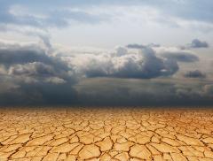 Cambiamento climatico e ondate di calore, come difendersi al meglio