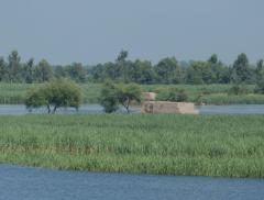 Acquaponica: una soluzione sostenibile che unisce agricoltura e risparmio d’acqua