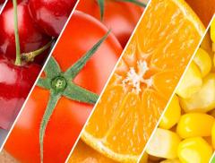 Alimenti Ricchi di Acqua: Scopri i Cibi Più Idratanti