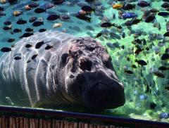 I bioparchi italiani più belli da visitare - In a bottle
