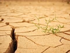 Assorbimento Acqua del Terreno Come Impatta il Cambiamento Climatico – In a Bottle