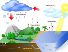 Come funziona il ciclo idrologico per la rigenerazione dell’acqua