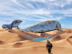 Energia solare per raccogliere acqua nel deserto 