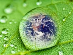 Giornata della Terra, come prendersi cura del Pianeta
