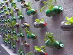 Come riciclare bottiglie di plastica modo creativo
