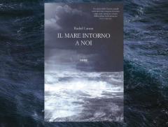 “Il mare intorno a noi”, la biografia del mare della scrittrice ambientalista Rachel Carson - In a Bottle