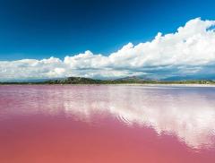 Lago di Colore Rosa: il Lago Retba si Trova in Africa – In a Bottle