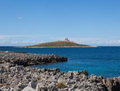 L’Isola delle Femmine è in vendita? Ecco l’idea di quattro artiste, che la vogliono acquistare - In a Bottle
