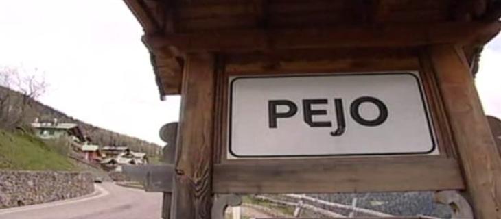 Pejo, quando il legno si trasforma in energia pulita