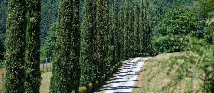 Perché proteggere le fonti favorisce la biodiversità e salva le specie
