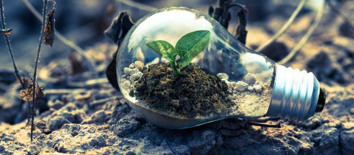 Sustainability words 2023: le parole che useremo di più legate alla sostenibilità 