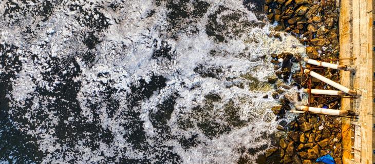 Acque reflue in agricoltura: una soluzione sostenibile per la siccità?