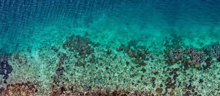 Perché l’acqua è trasparente: una questione di luce