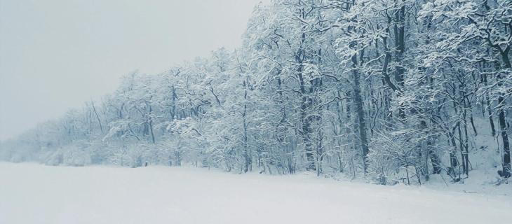 Dove nasce la neve: il viaggio invisibile di una goccia d’acqua