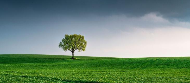 L’importanza della logistica verso la transizione ecologica