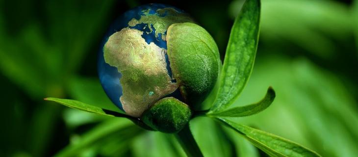 Italia scende al 30° posto nella lotta al cambiamento climatico
