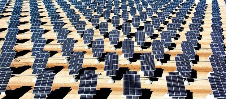I principali trend legati alla sostenibilità nel 2022