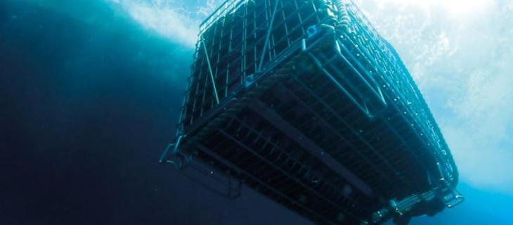 UnderWaterWines, adesso il vino si conserva sott’acqua