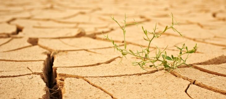 Assorbimento Acqua del Terreno Come Impatta il Cambiamento Climatico – In a Bottle