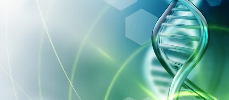 Come si comporta l'acqua intorno al DNA 
