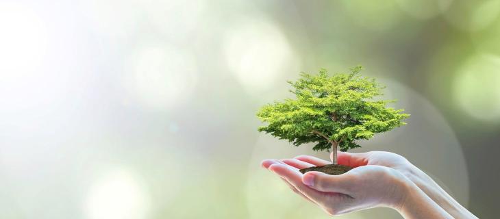 Dai rifiuti organici alla bioplastica grazie a Synpol 