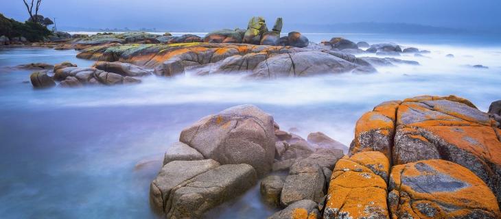 Eco-turismo: il caso esemplare della Tasmania 