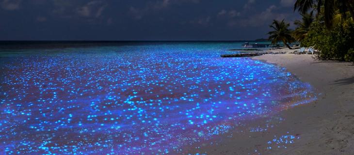 Isola di Vaadhoo: il mare stellato delle Maldive 