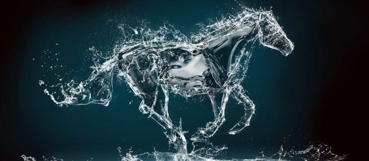 Nokk, storia della creatura marina mitologica protagonista al cinema - In a Bottle