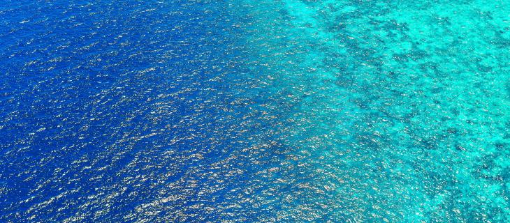 Perché gli oceani sono sempre più acidi?
