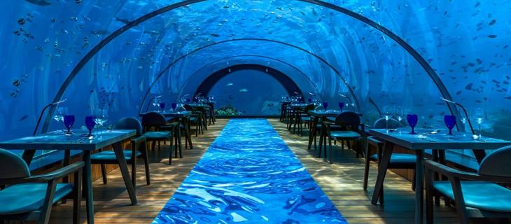 Ristoranti subacquei: l’Hurawalhi Island Resort alle Maldive – In a Bottle